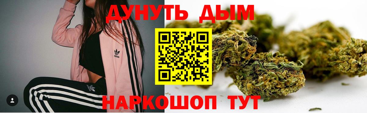 Бошки Шишки сатива Фурманов